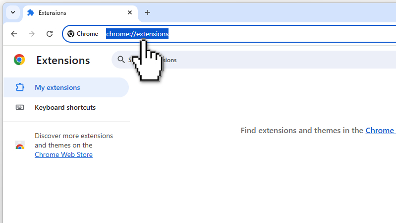 Step 2: Open extensions